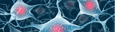 Biomedische diensten
